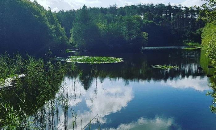Pembrey Country Park